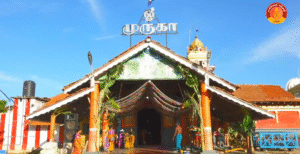 தோப்புக்காடு அருள்மிகு ஸ்ரீ கஜவல்லிமஹாவல்லி சமேத ஸ்ரீ சுப்ரமணிய சுவாமி தேவஸ்தான தேர்த்திருவிழா- 28-08-2025