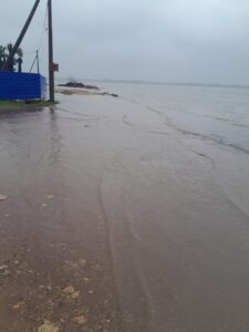 காரைநகர் தோப்புக்காட்டின் வெள்ள நிலைமை. Ditwa (டித்வா) புயல்