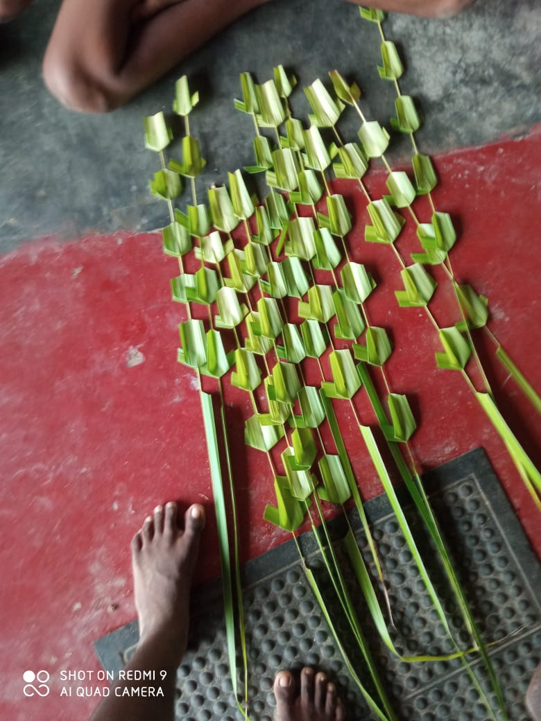 WhatsApp Image 2026-10-17 at 7.05.47 PM (1)